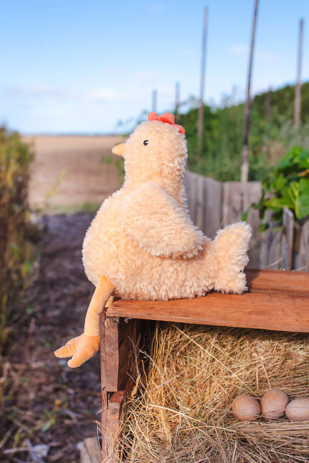 Harriet The Hen - Honey