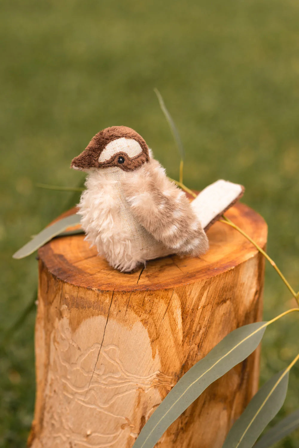 Mini Ken Kookaburra